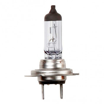 Bulb 12V 55W Px26D H7 Halogen Blister