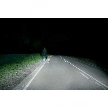 Xenon 5000 H1 Performance Halogen 12V 55W