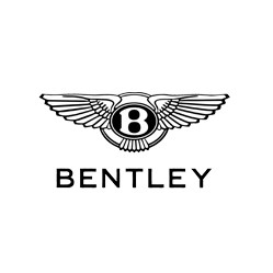 Category image for Bentley Bumper Rearguards