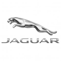Category image for Jaguar Space Saver Wheel Kits