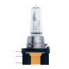 Image for Head Light