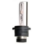 Image for Spot Light