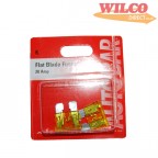 Image for Flat Blade Fuses 20 Amp - Pack 3