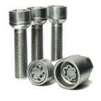 Image for 19mm Evo 5 Locking Wheel Nuts