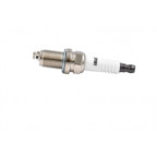 Image for Spark Plug