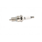 Image for Spark Plug