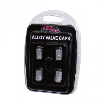 Image for Universal Valve Caps - Silver