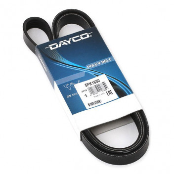 DAYCO DRIVE BELT Image for DAYCO DRIVE BELT