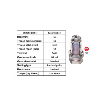 Image for Spark Plug