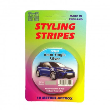 Image for 6mm Styling Stripe - Pin Silver - 10m