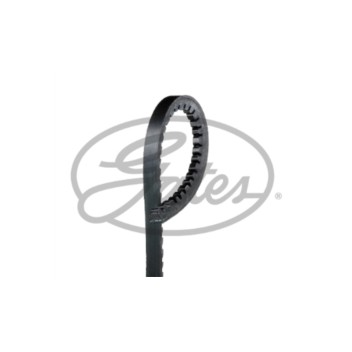Image for V-BELT  10 x 666La