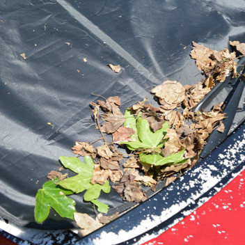 Image for Premium Car Windscreen Cover