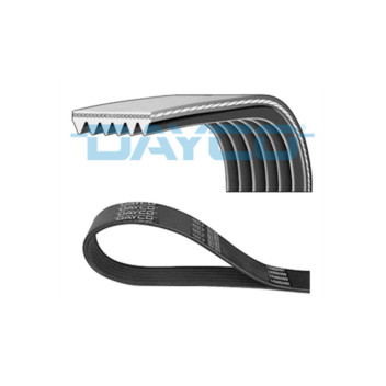 Drive Belt Image for Drive Belt