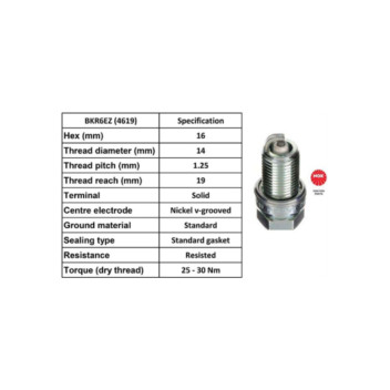 Image for Spark Plug