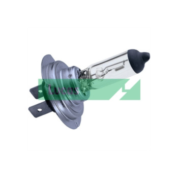 Image for Spot Light