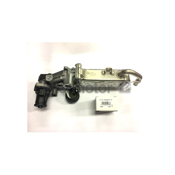 Image for RE-MAN EGR VALVE