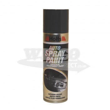 Image for Holts Dark Grey Spray Paint 300ml (HDGREY04)