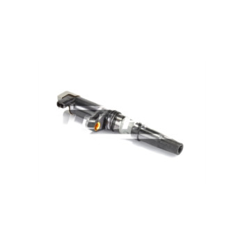 Image for COIL PACK RENAULT INTEGRATED SYSTEM
