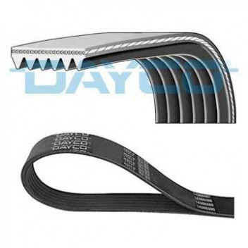 Dayco Ribbed Poly-V Serpentine Belt - 800mm Image for Dayco Ribbed Poly-V Serpentine Belt - 800mm