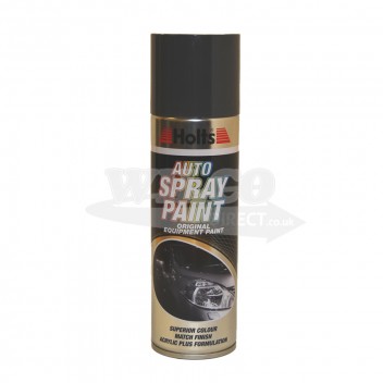 Image for Holts Dark Grey Spray Paint 300ml (HDGREY02)