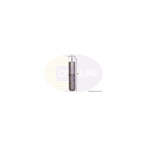 Fuel Filter image