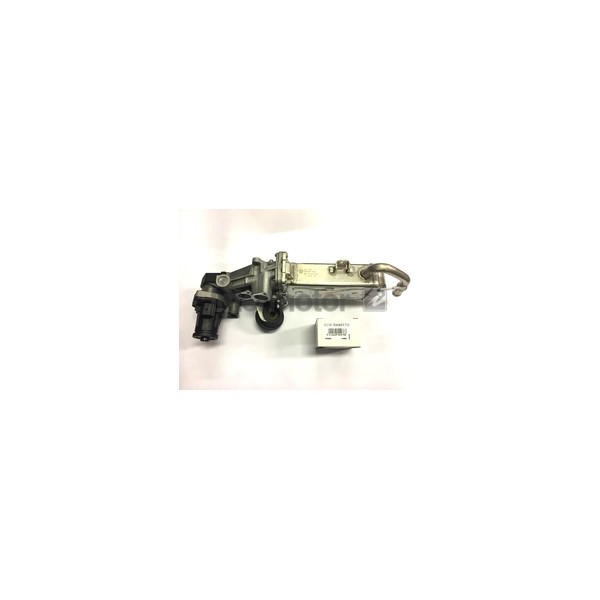 RE-MAN EGR VALVE image