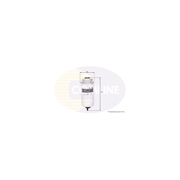 Fuel Filter image
