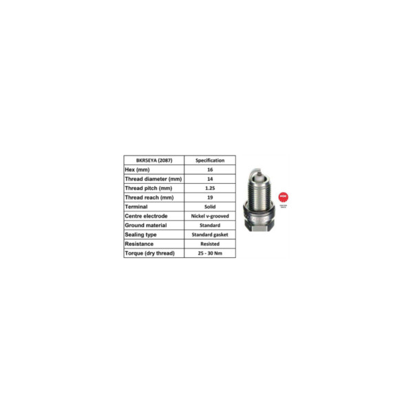 Spark Plug image