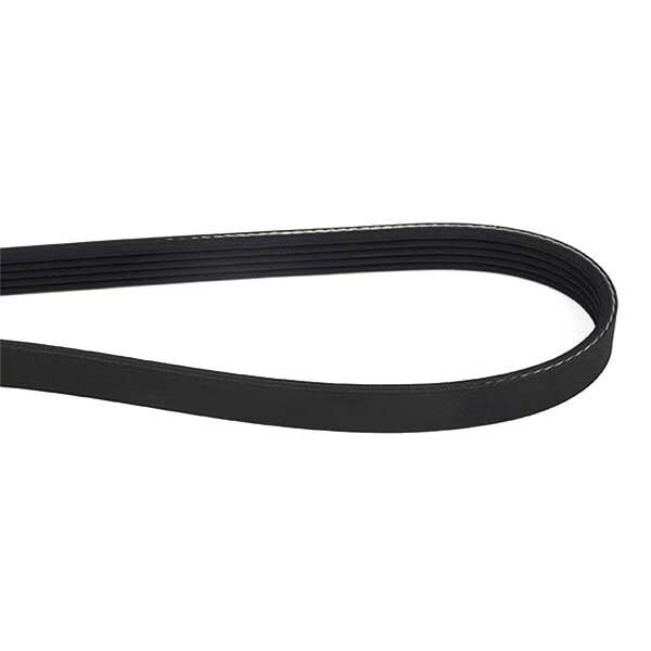 Dayco Ribbed Poly-V Serpentine Belt - 1145mm image