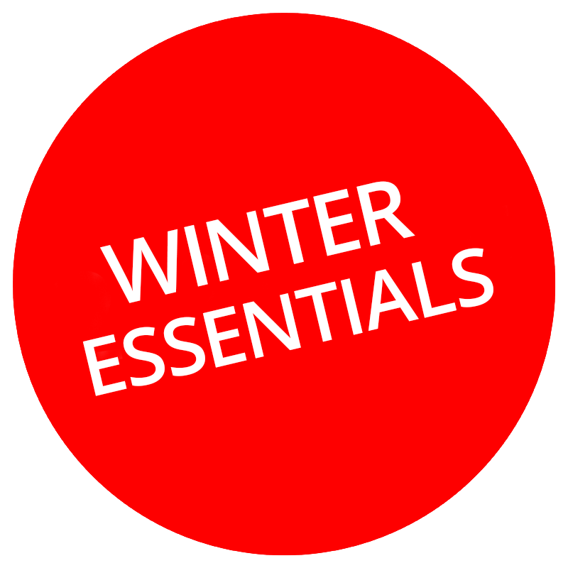 logo for Winter Essentials
